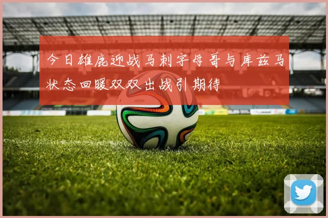 今日雄鹿迎战马刺字母哥与库兹马状态回暖双双出战引期待