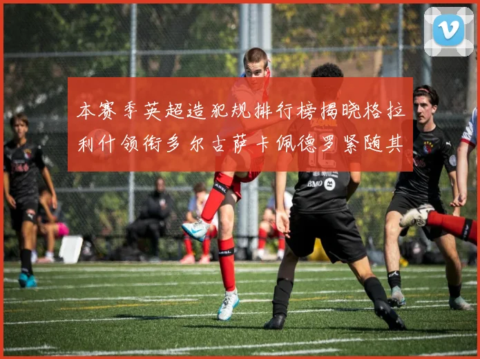 本赛季英超造犯规排行榜揭晓格拉利什领衔多尔古萨卡佩德罗紧随其后