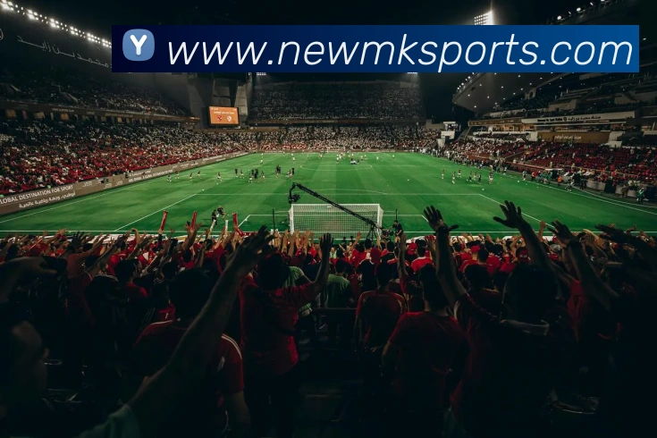 MK体育APP 封面图