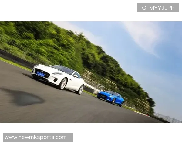 东契奇训练后带队友团建体验保时捷专业赛道试驾乐趣